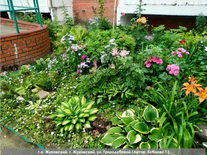 Активность жителей Подольска в конкурсе ГУСТ на самый зеленый двор Подмосковья поощрили