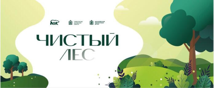 В лесопарке «Елочки» в Кутузово 2 ноября пройдет акция «Чистый лес» 