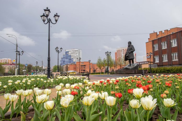 Более 300 тысяч тюльпанов расцветают на клумбах в Подольске