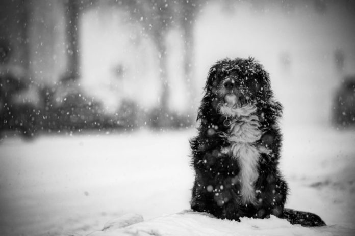 Завершился ежегодный конкурс любительской фотографии