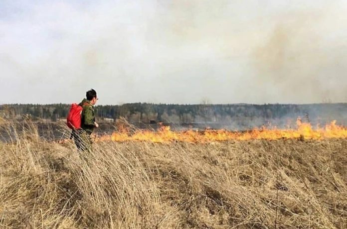 Подольское лесничество объявило сезон пожарной опасности