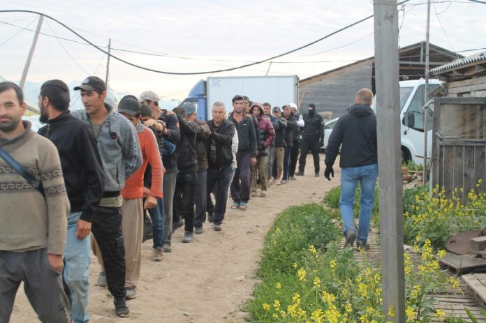 В Подольске сотрудниками полиции пресечено нарушение миграционного законодательства