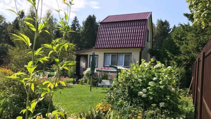 Информация для подольчан: новые правила планировки и застройки СНТ в Подмосковье обсудят на онлайн-встрече...