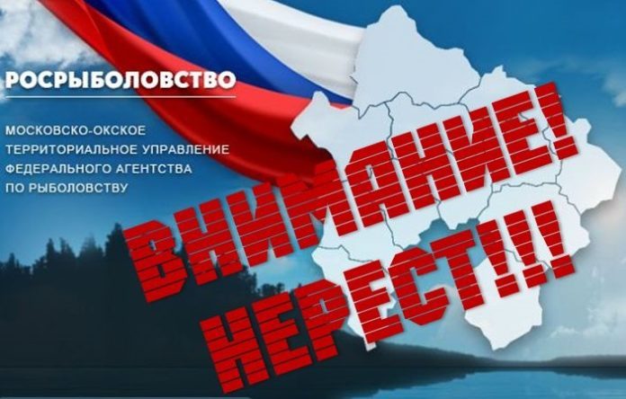 Запрещается рыболовство во время весеннего нереста рыб на рыбохозяйственных водоемах Московской области