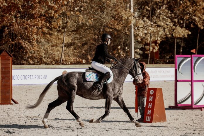 Муниципальные соревнования состоялись в КСК «Фаворит»