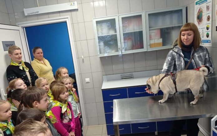 Занятия «Юный ветеринар» проводит для детей в Подольске Госветслужба