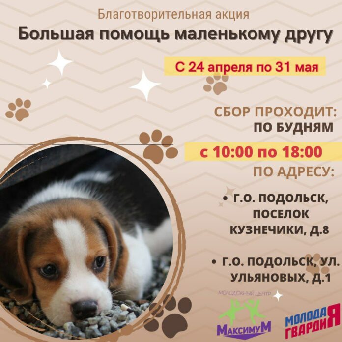 Большая помощь маленькому другу