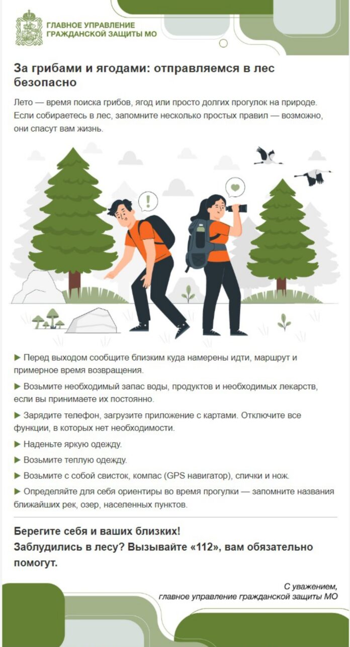 Что взять с собой на лесную прогулку? Советы спасателей ГКУ МО «Мособлпожспас»