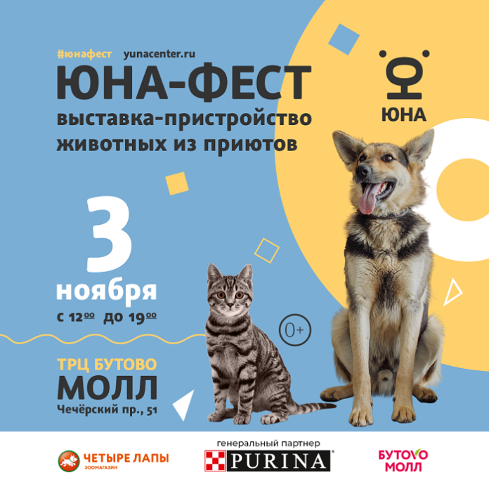 Выставка-пристройство домашних животных пройдет в ТЦ «Бутово Молл» 3 ноября