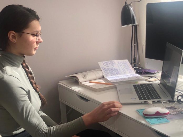 Школьница из округа приняла участие в онлайн-диалоге с губернатором Андреем Воробьевым