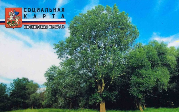 К сведению региональных льготников