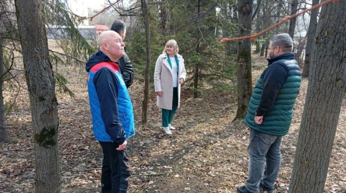 Партийцы Подольска провели проверку состояния лесной полосы в микрорайоне Климовск