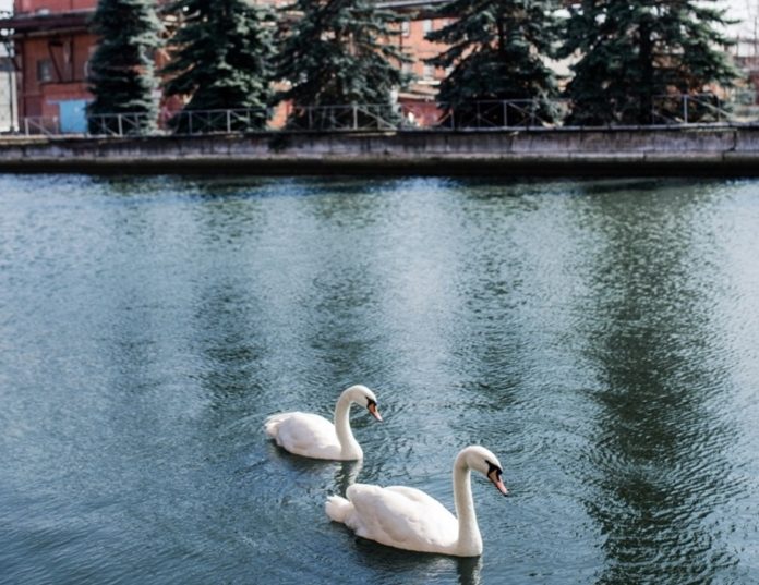 Систему экологического менеджмента «ЗиО-Подольск» признали результативной