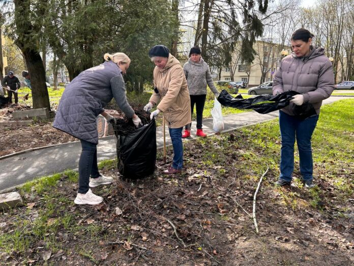 В п. Дубровицы стартовал большой субботник