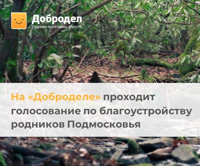 Стартовало голосование по выбору родников для благоустройства на портале «Добродел»