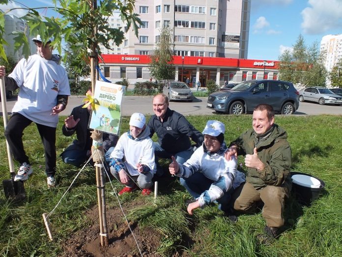 В микрорайоне Кузнечики высадили более 40 саженцев клена