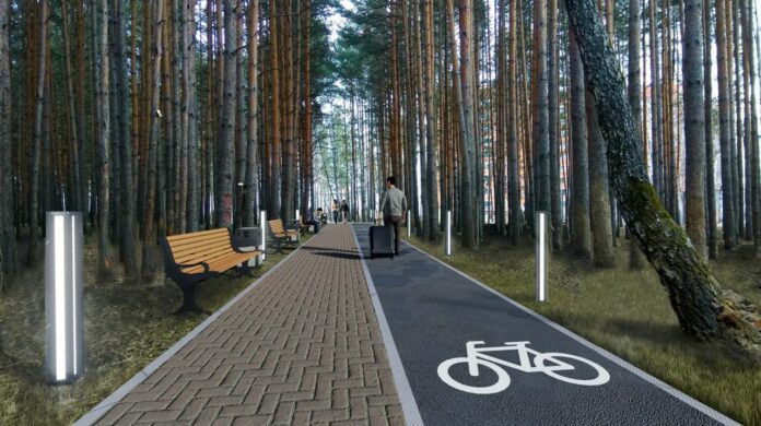 Лыжероллерная трасса должна появиться в Подольске в 2023 г.