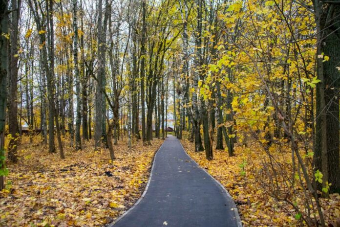 В микрорайоне Климовск г. о. Подольск обустроили 8 народных троп