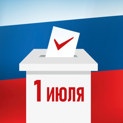 В Московской области был запущен помощник по голосованию по поправкам в Конституцию