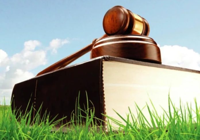 Аренда двух земельных участков в Подольске принесет в бюджет порядка 4,9 млн рублей в...