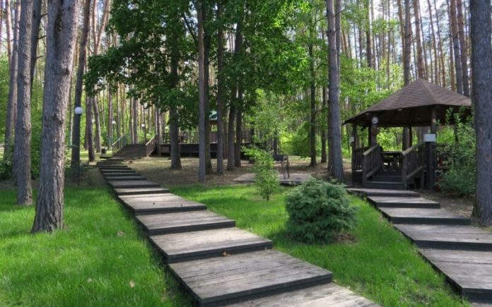 На «Доброделе» началось голосование за адресный перечень проекта «Парки в лесу»