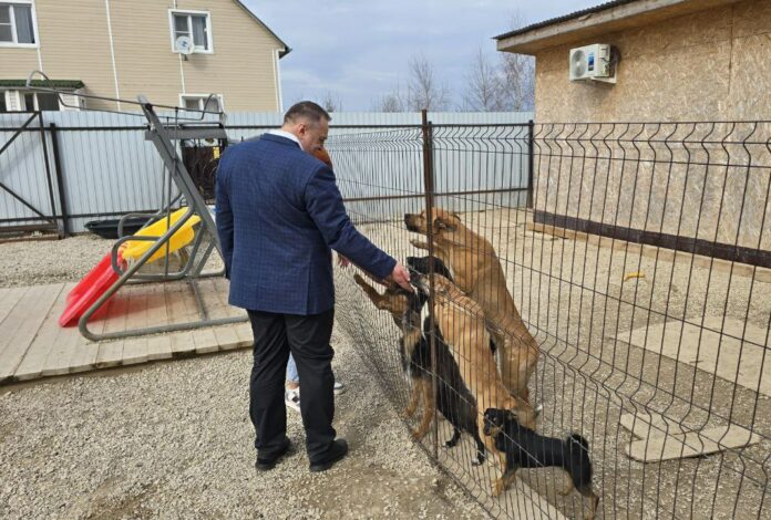 Подольские партийцы оказали помощь приюту для бездомных животных