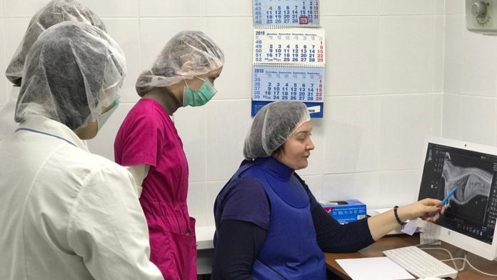 В Московской области начался прием документов на целевой набор в вузы по специальности «Ветеринария»