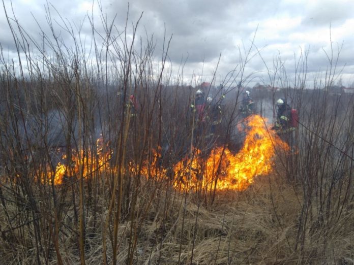 Вниманию подольчан: пал сухой травы категорически запрещен!