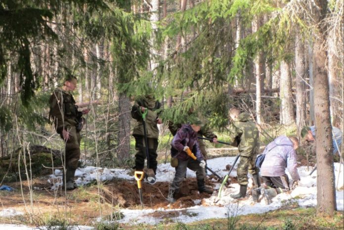 Принят новый реестр поисковых объединений принят в Подмосковье