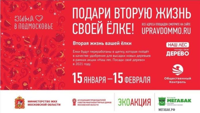 Более 20 пунктов приёма новогодних ёлок на переработку откроют в Большом Подольске