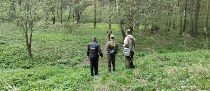 В Подольске патрулируют леса во избежание пожаров