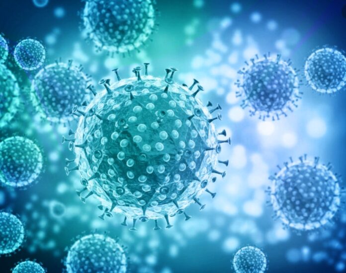 Штамм «Омикрон» в Подольск был привезен путешественницей из Южно-африканской республики