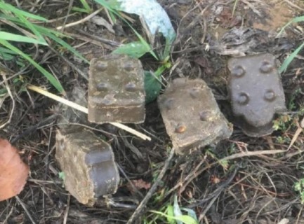 Станция по борьбе с болезнями животных информирует