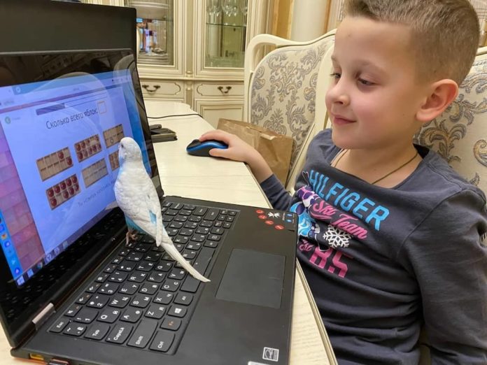 Финал муниципального экологического конкурса «Мы в ответе за тех, кого приручили» состоялся на базе...