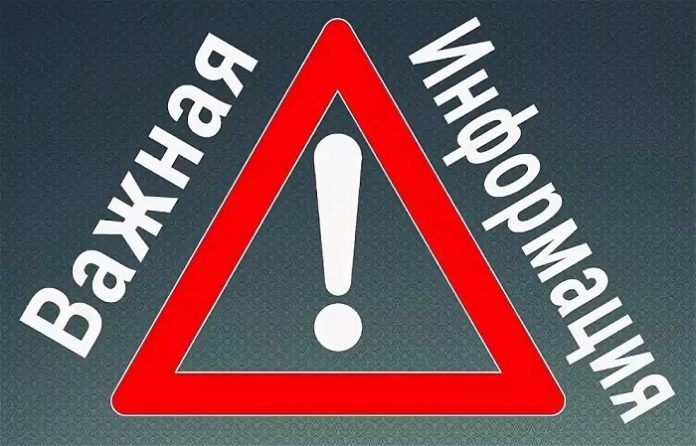 Карантин по бешенству животных отменили в городском округе Подольск